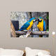 Two Playing Parrots Love Wall Decal
