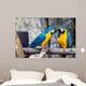 Two Playing Parrots Love Wall Decal