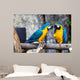 Two Playing Parrots Love Wall Decal