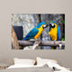 Two Playing Parrots Love Wall Decal