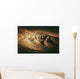 Death Valley Formations Wall Decal