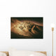 Death Valley Formations Wall Decal