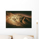 Death Valley Formations Wall Decal