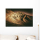 Death Valley Formations Wall Decal
