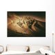 Death Valley Formations Wall Decal