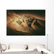 Death Valley Formations Wall Decal