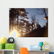 Spring Trail Running 1 Wall Decal