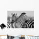 Zebra Herd Black and Wall Decal