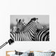 Zebra Herd Black and Wall Decal
