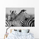 Zebra Herd Black and Wall Decal