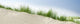 Sand Dunes near Beach Wall Decal Panoramic Wall Decal
