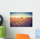 Vintage Photo Plowed Field Wall Decal