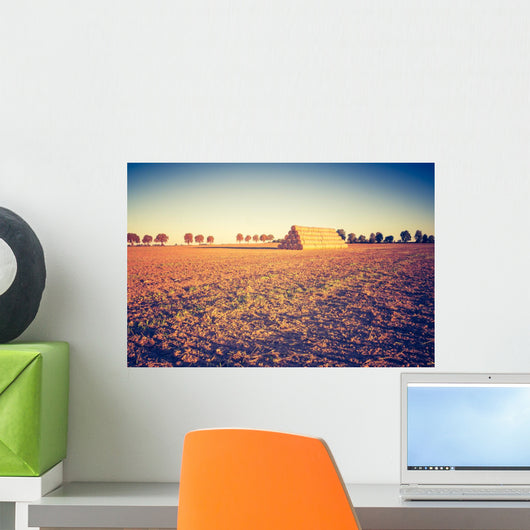 Vintage Photo Plowed Field Wall Decal