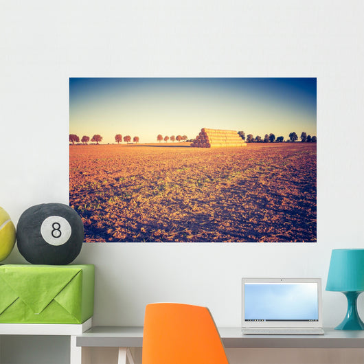 Vintage Photo Plowed Field Wall Decal