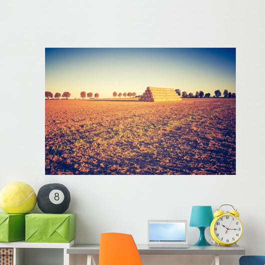 Vintage Photo Plowed Field Wall Decal
