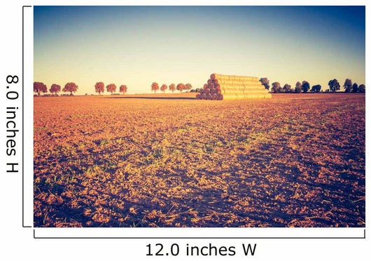 Vintage Photo Plowed Field Wall Decal