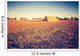 Vintage Photo Plowed Field Wall Decal