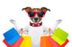 Shopping Dog Wall Decal Design 2