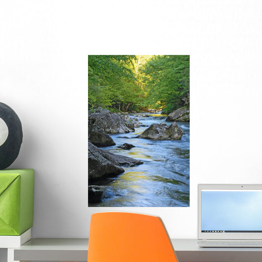 Mountain Stream Wall Decal