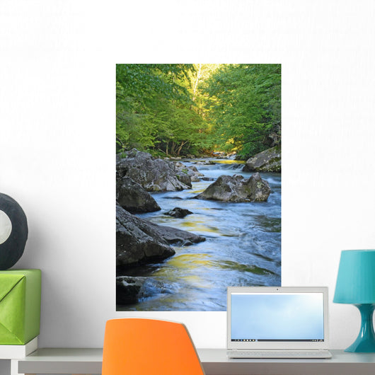 Mountain Stream Wall Decal