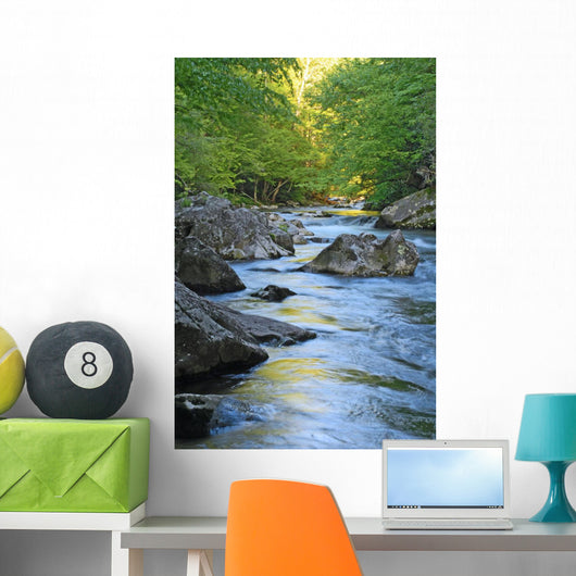 Mountain Stream Wall Decal