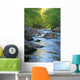 Mountain Stream Wall Decal