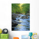 Mountain Stream Wall Decal