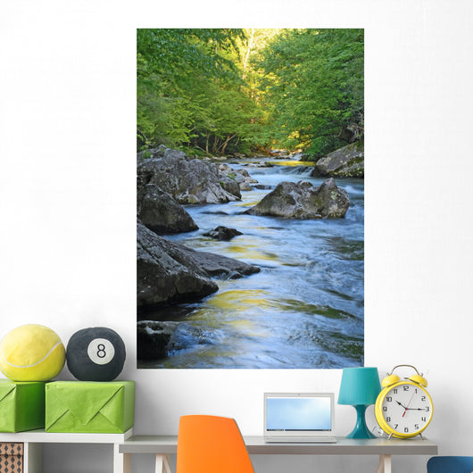 Mountain Stream Wall Decal