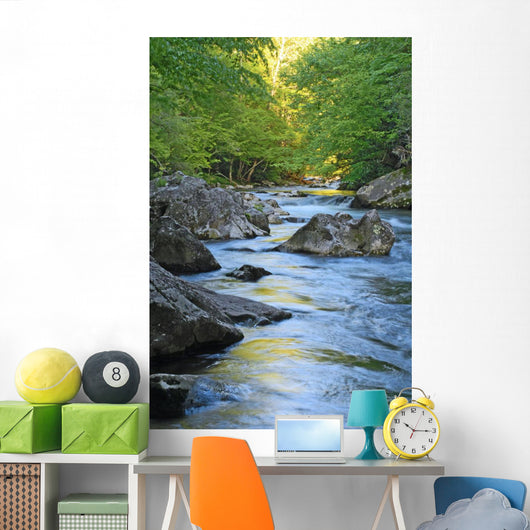 Mountain Stream Wall Decal