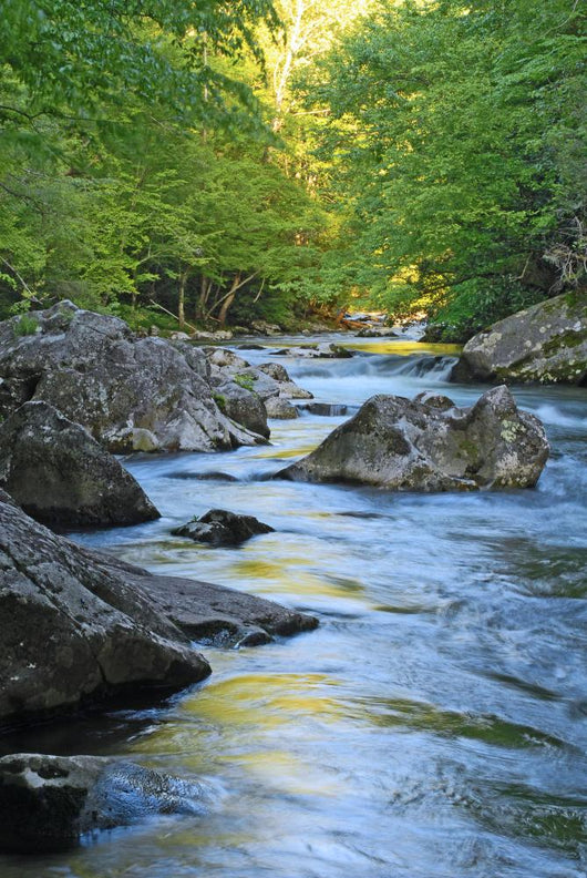 Mountain Stream Wall Decal