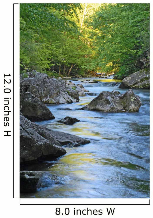 Mountain Stream Wall Decal