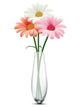 Daisy Glass Vase White Wall Decal