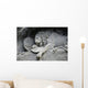 Lion Monument or Lion Wall Decal