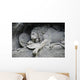 Lion Monument or Lion Wall Decal