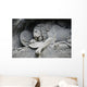 Lion Monument or Lion Wall Decal