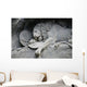 Lion Monument or Lion Wall Decal
