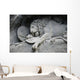 Lion Monument or Lion Wall Decal