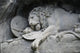 Lion Monument or Lion Wall Decal