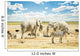 Group Wild Mixed Animals Wall Decal