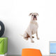 Sitzender Weisser Boxer Hund Wall Decal