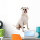 Sitzender Weisser Boxer Hund Wall Decal
