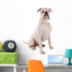 Sitzender Weisser Boxer Hund Wall Decal