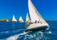 Sailing Boats during Regatta Wall Decal