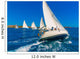 Sailing Boats during Regatta Wall Decal