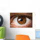 Brown Eye Wall Decal