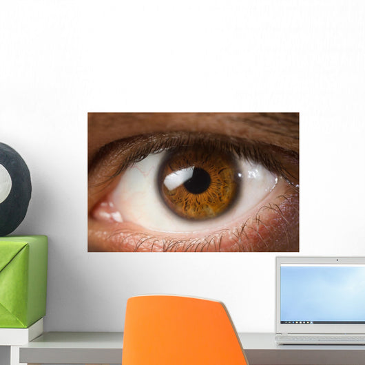 Brown Eye Wall Decal