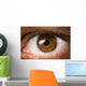 Brown Eye Wall Decal