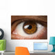Brown Eye Wall Decal
