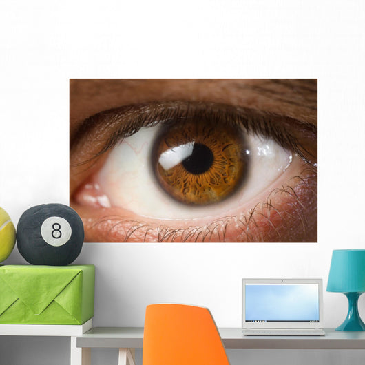 Brown Eye Wall Decal