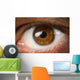 Brown Eye Wall Decal